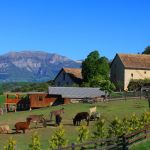La Ferme du Col