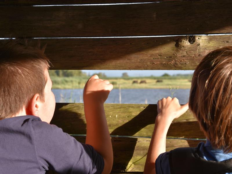 La Fête de la nature - Portes Ouvertes à Terres d'Oiseaux