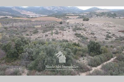 Terrain - 36 630 m²