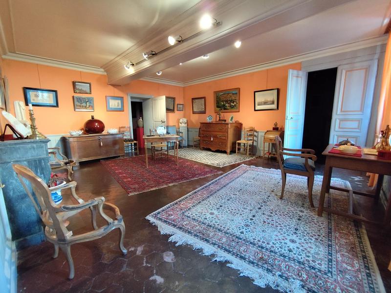 Viager - Propriété - 407 m² - 16 pièces