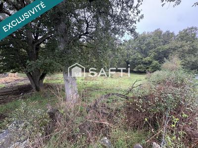 Terrain agricole - 2 290 m²