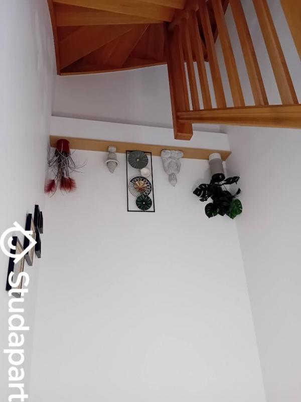 Chambre - 15 m² - 1 pièce