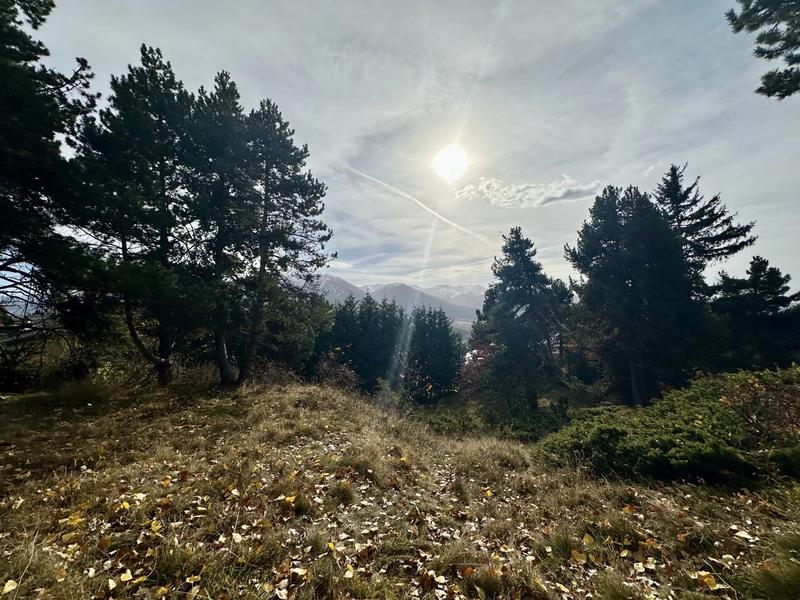 Terrain constructible - 1 572 m²