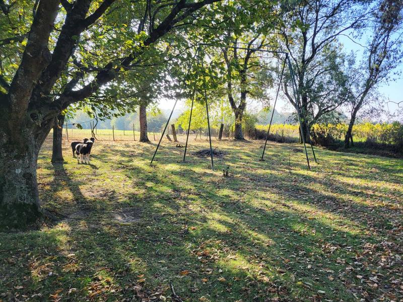 Corps de ferme - 188 m² - 5 pièces