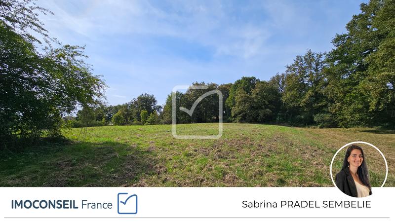 Terrain - 5 363 m²