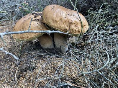 Chez Jeanne et Raphaël