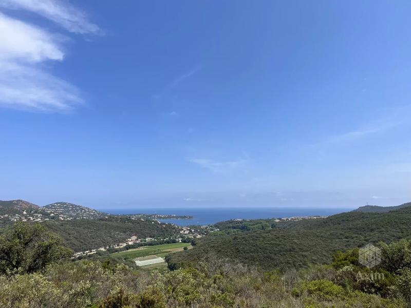 Terrain - 25 956 m²