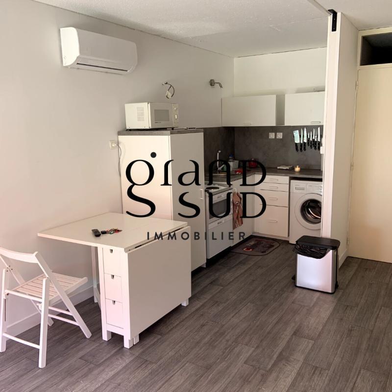 Studio - 31 m² - 1 pièce