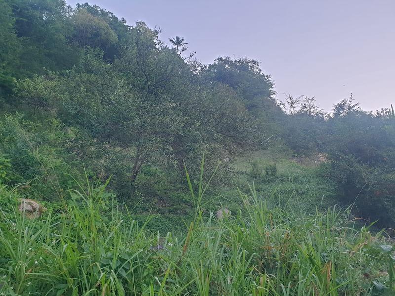 Terrain constructible - 2 000 m²