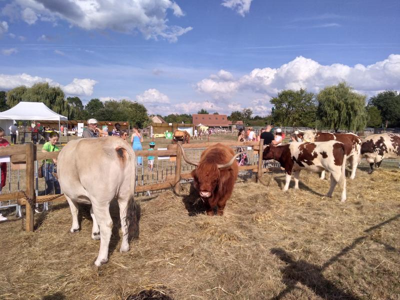 La ferme en fête