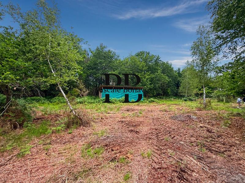 Terrain de loisirs - 2 327 m²