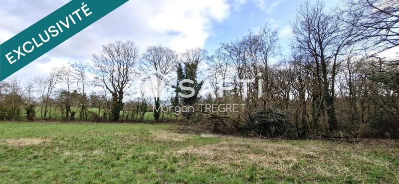Terrain agricole - 2 500 m²