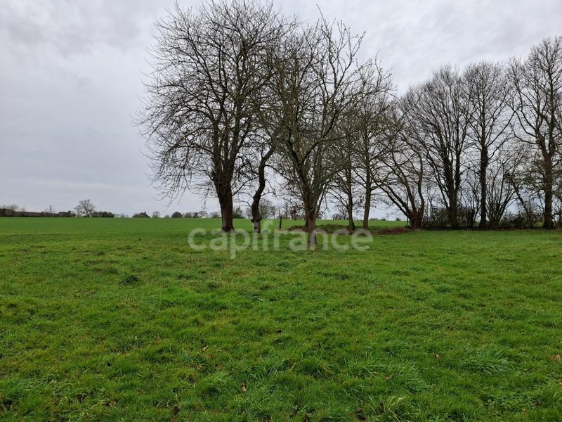 Maison en pierre - 86 m² - 5 pièces