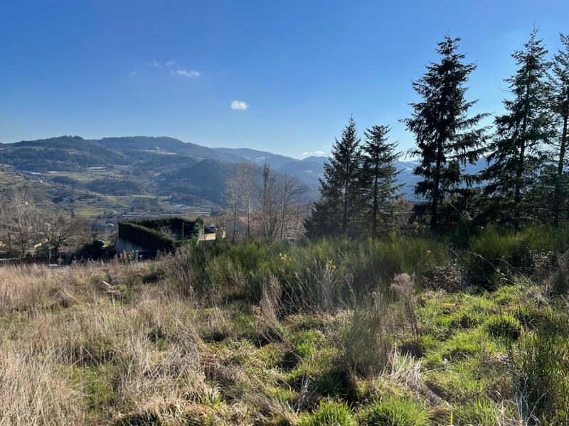 Terrain - 1 606 m²