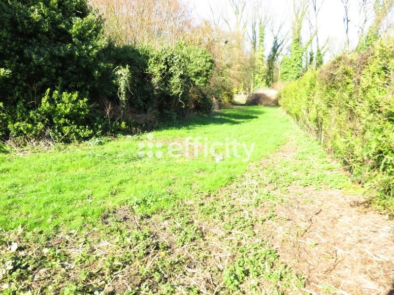 Terrain constructible - 2 000 m²