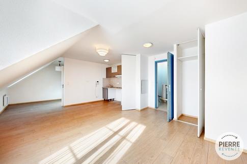 Studio - 30 m² - 1 pièce