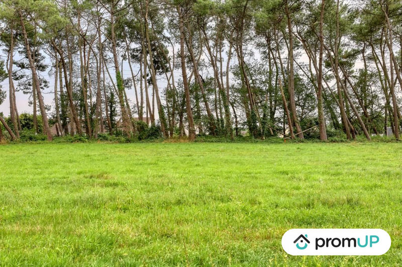 Terrain de loisirs - 946 m²