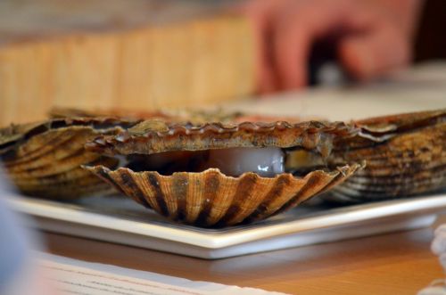 Les Ateliers de Yannick