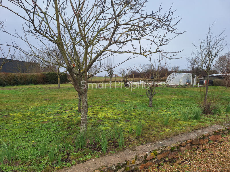 Terrain - 1 260 m²