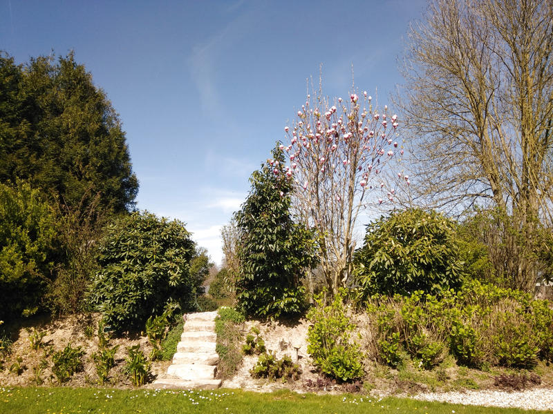 Maison - 176 m² - 8 pièces