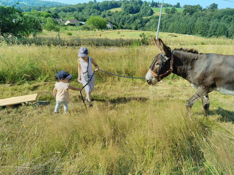 L'Âne Belle Aventure