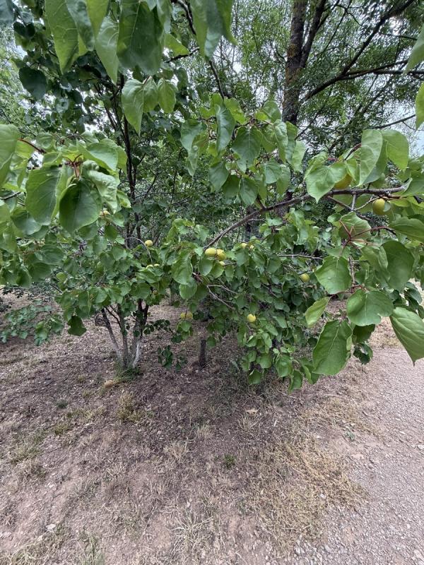 Terrain de loisirs - 5 000 m²