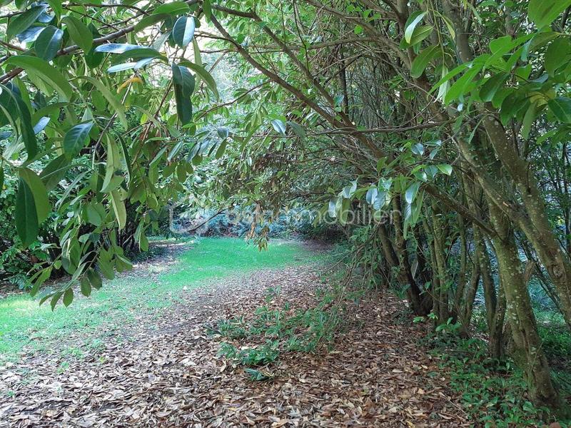 Terrain de loisirs - 9 275 m²