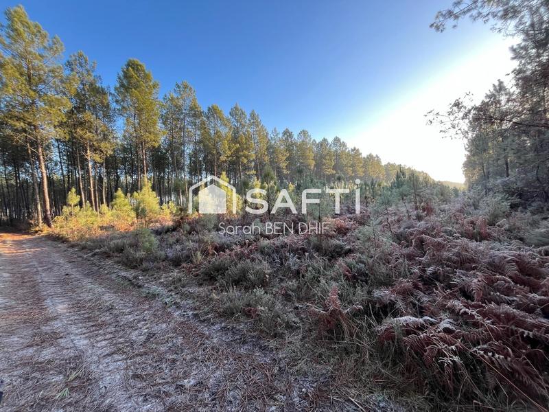 Terrain agricole - 10 400 m²