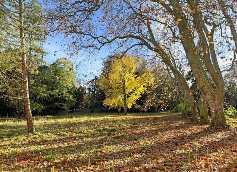 Propriété - 339 m² - 11 pièces