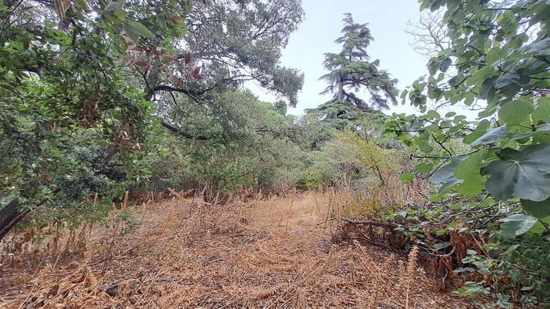 Maison - 152 m² - 6 pièces