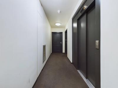 Studio - 31 m² - 1 pièce