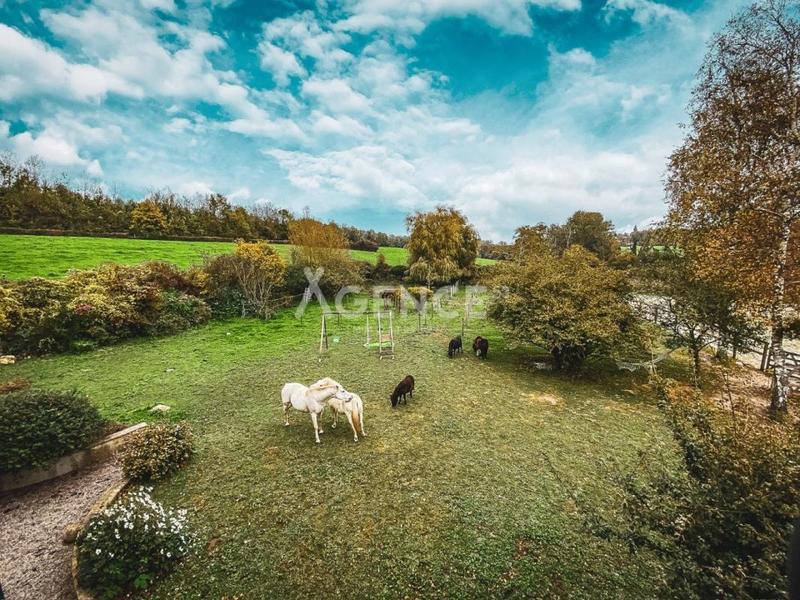 Maison - 318 m² - 17 pièces