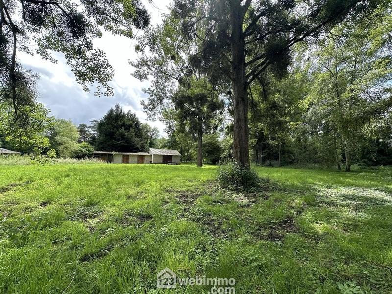 Terrain - 11 300 m²