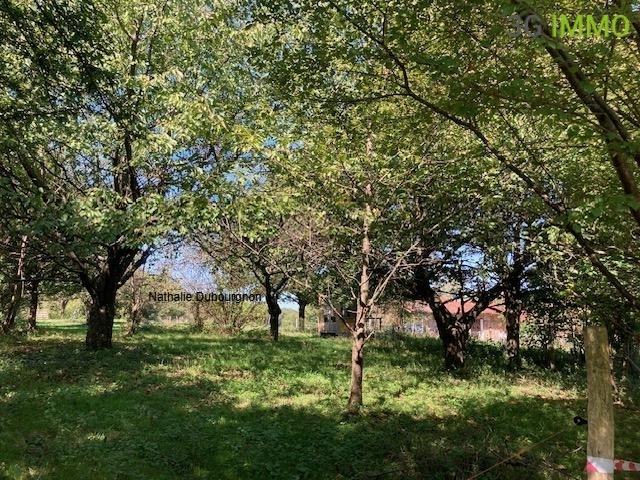 Ferme - 240 m² - 9 pièces