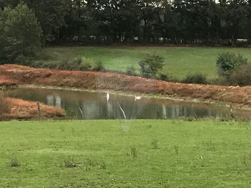 Ferme - 248 m² - 9 pièces