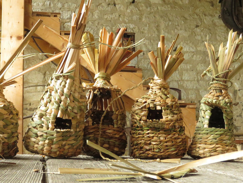 Stage de Vannerie sauvage, récolte et tressage