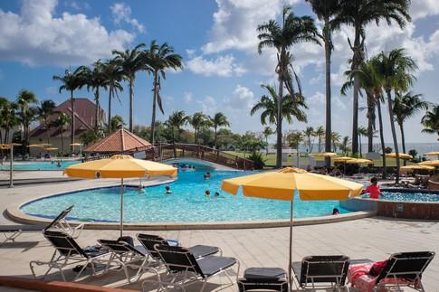 Studio - 27 m² - 1 pièce