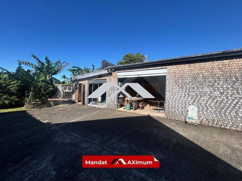 Maison - 250 m² - 7 pièces