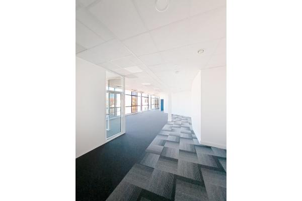 Bureau - 149 m²