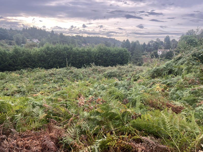 Maison - 141 m² - 4 pièces