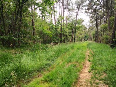 Terrain de loisirs - 3 450 m²