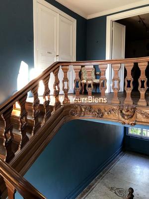 Château - 1 250 m² - 30 pièces