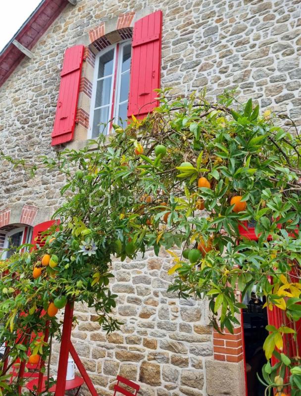 Maison en pierre - 82 m² - 3 pièces