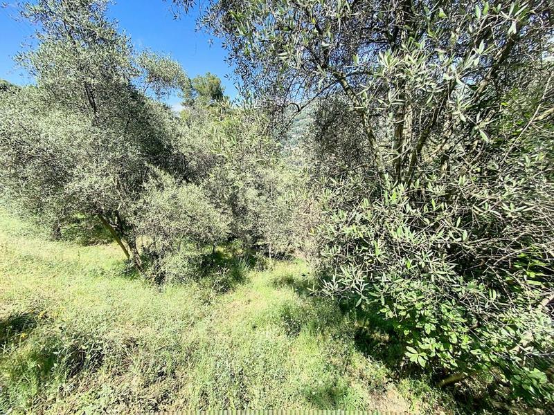Terrain agricole - 11 360 m²