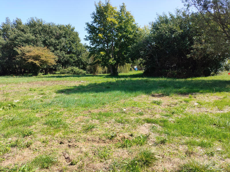 Terrain constructible - 1 282 m²