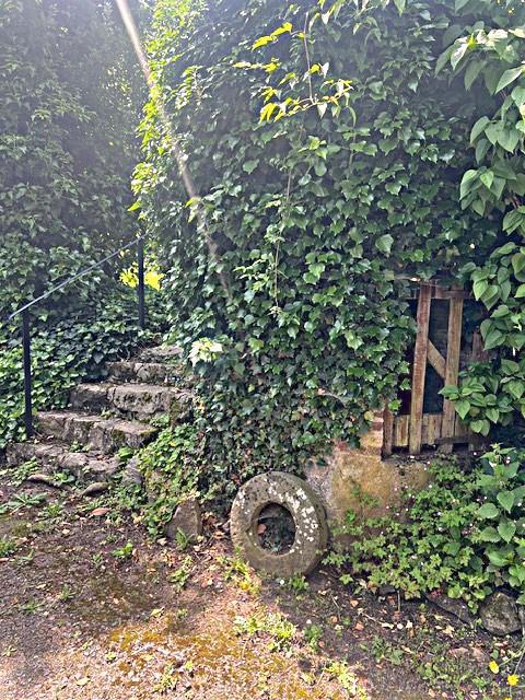 Propriété - 308 m² - 13 pièces