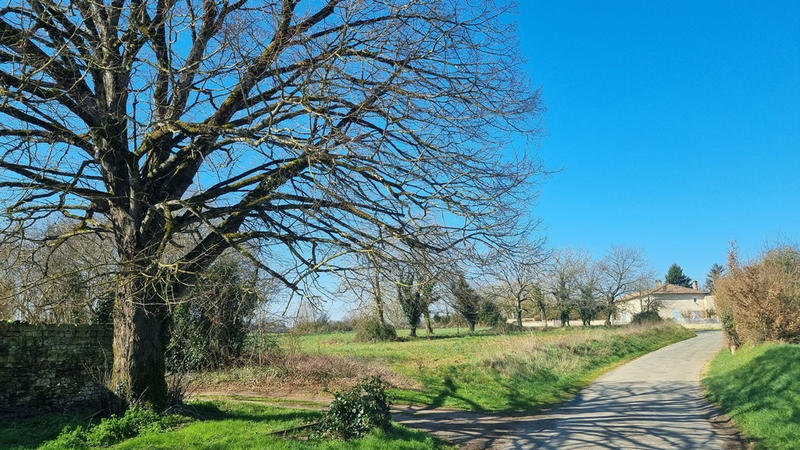 Maison - 132 m² - 5 pièces