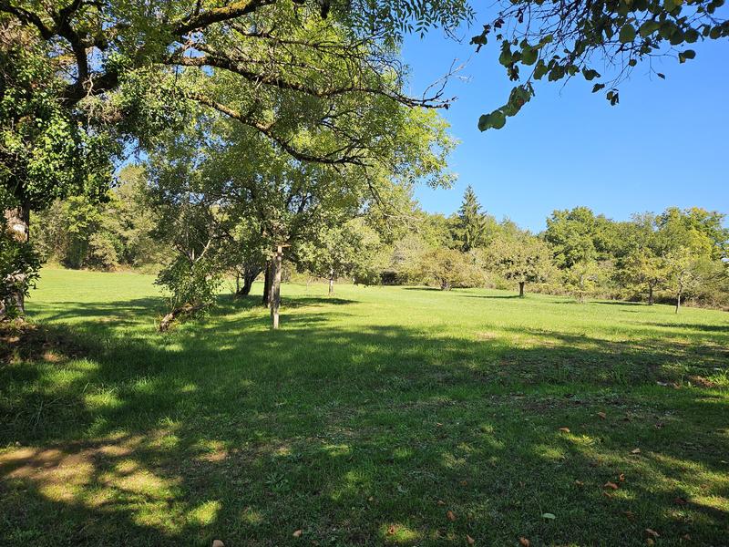 Maison en pierre - 250 m² - 9 pièces