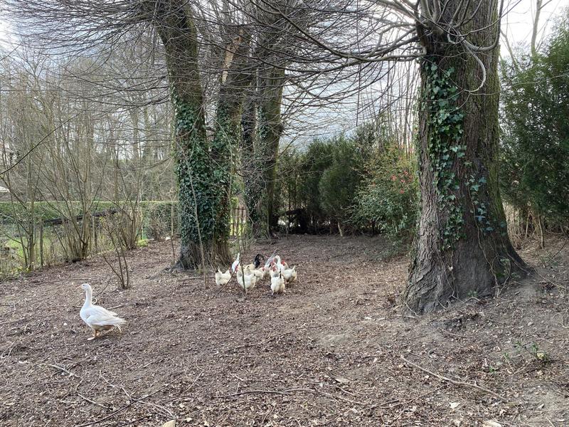 Maison - 210 m² - 7 pièces