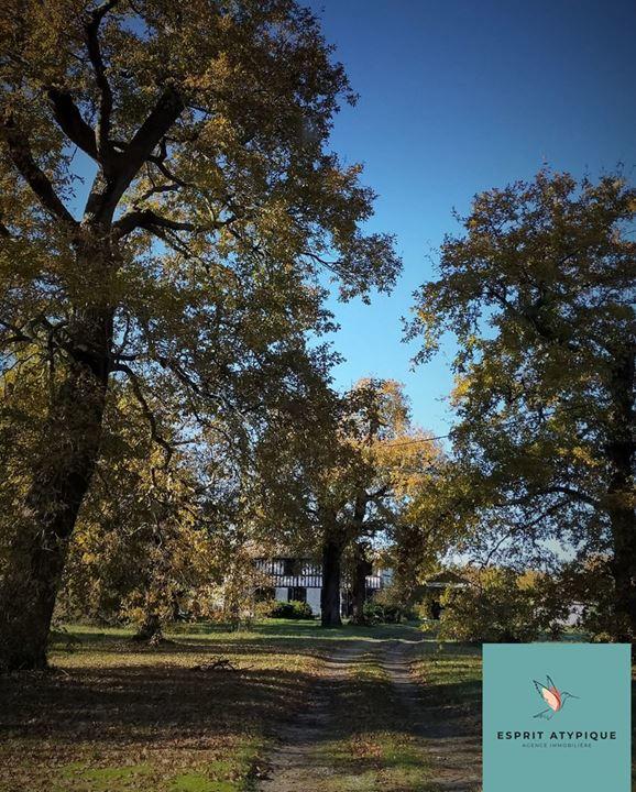 Maison landaise - 220 m² - 8 pièces